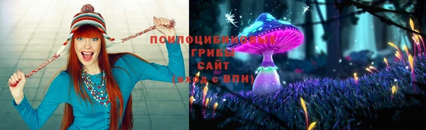 круглые Богданович